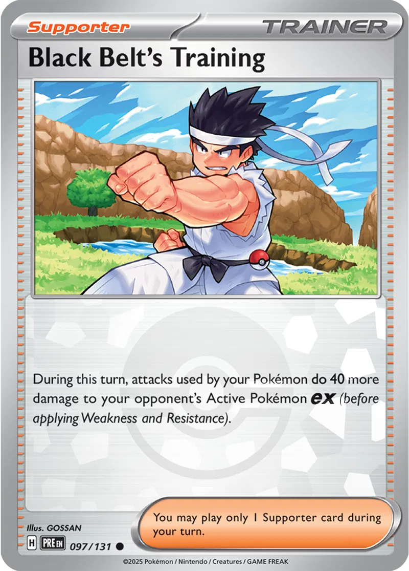 Black Belt's Training Poke ball Holo